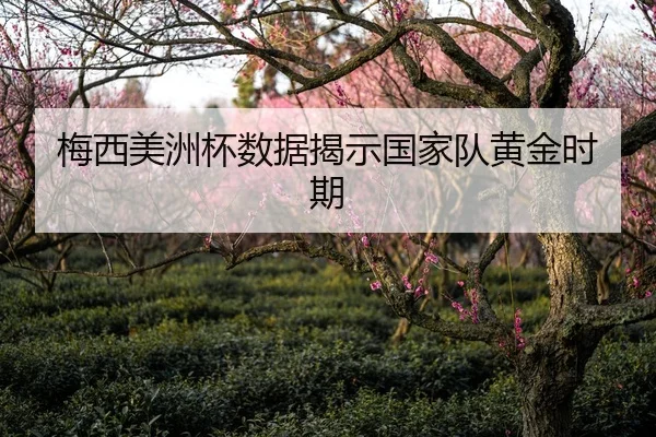 梅西美洲杯数据揭示国家队黄金时期