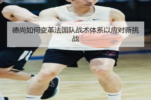 德尚如何变革法国队战术体系以应对新挑战